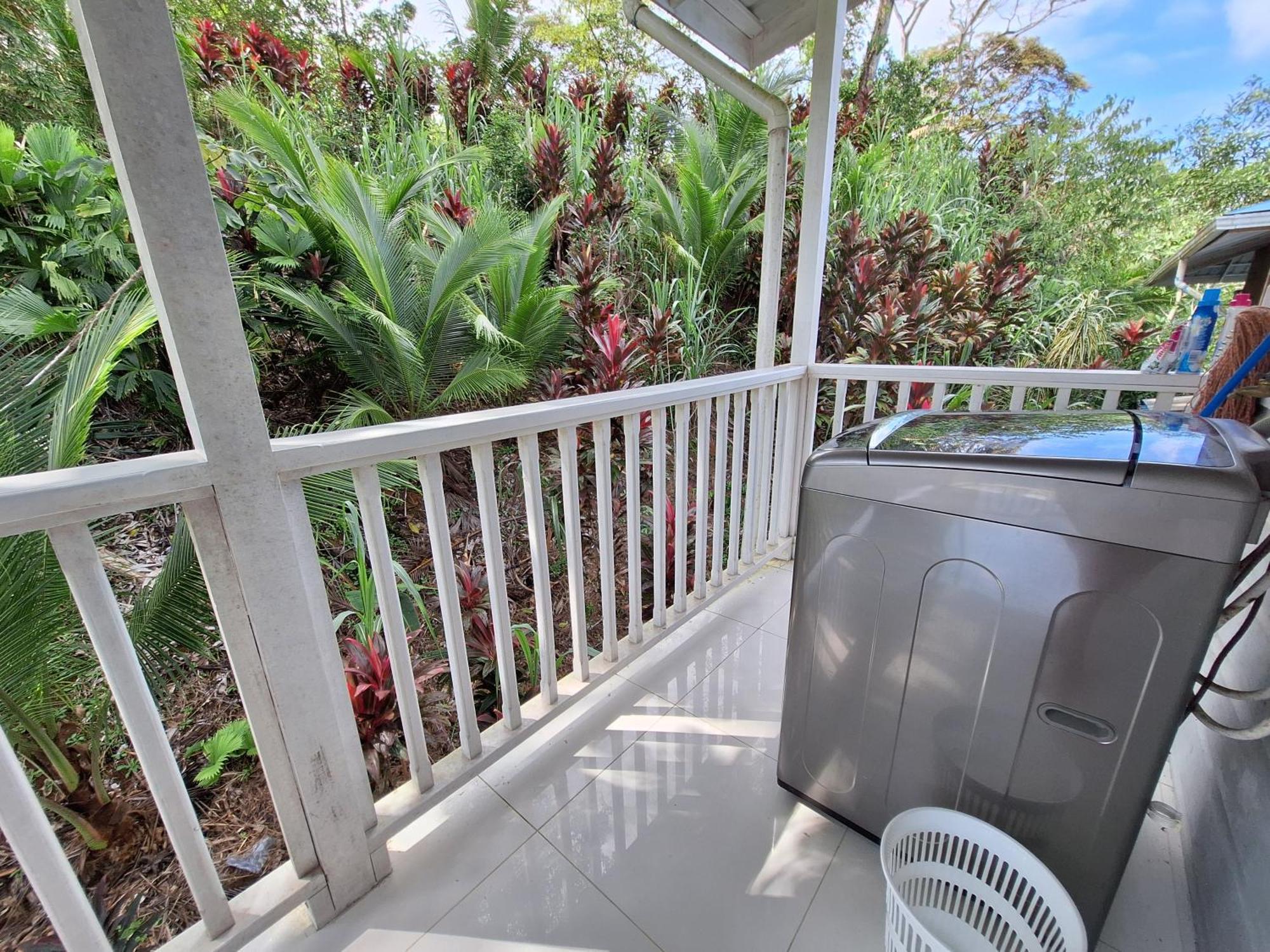 Paunch Beach Retreat Bocas Town Room photo